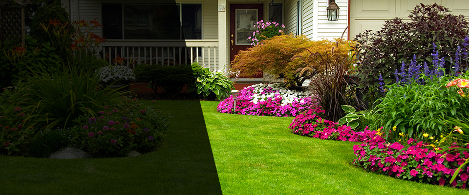 Orange Grove Landscapers