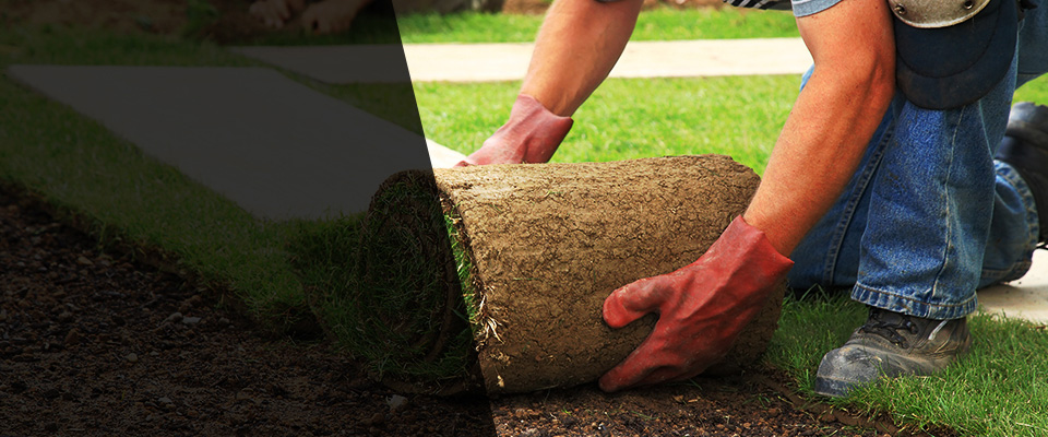Orange Grove Landscapers
